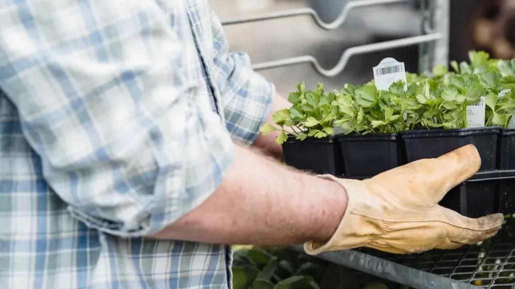 Farm-to-Table: Where Austin Caterers Source Their Fresh Produce