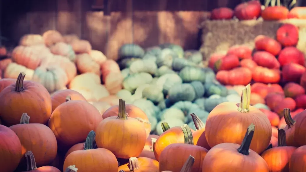 October in Austin: Your Ultimate Guide to Fall Catering Events